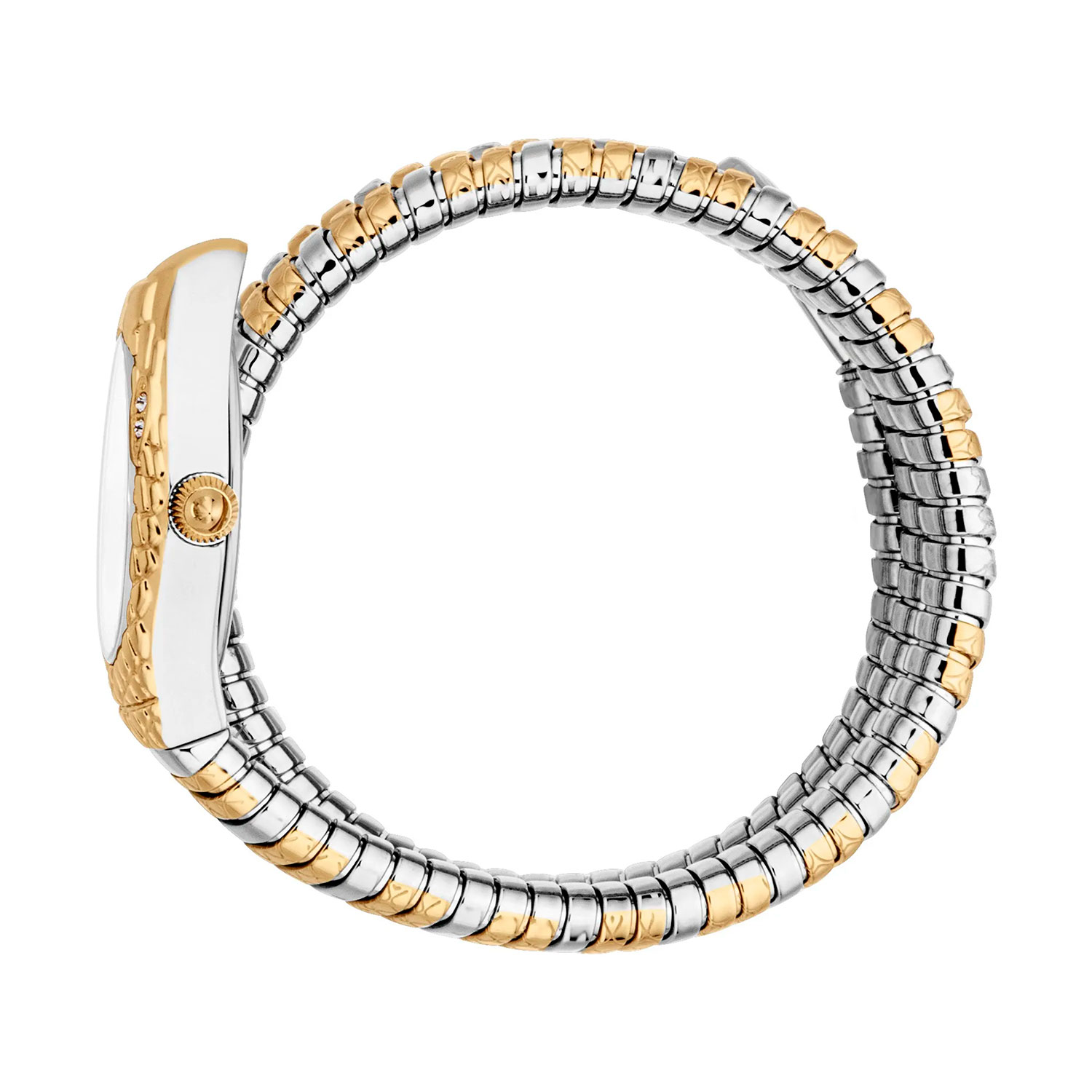 Just Cavalli JC1L374M0055